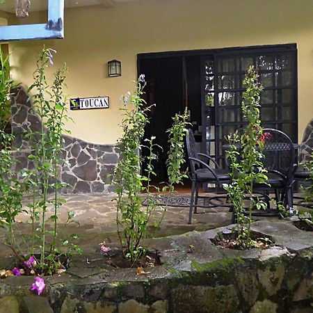 Pura Vida Hotel Alajuela ภายนอก รูปภาพ