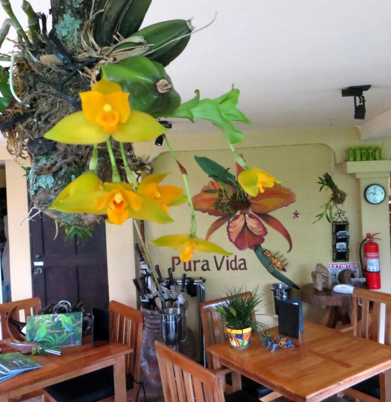 Pura Vida Hotel Alajuela ภายนอก รูปภาพ