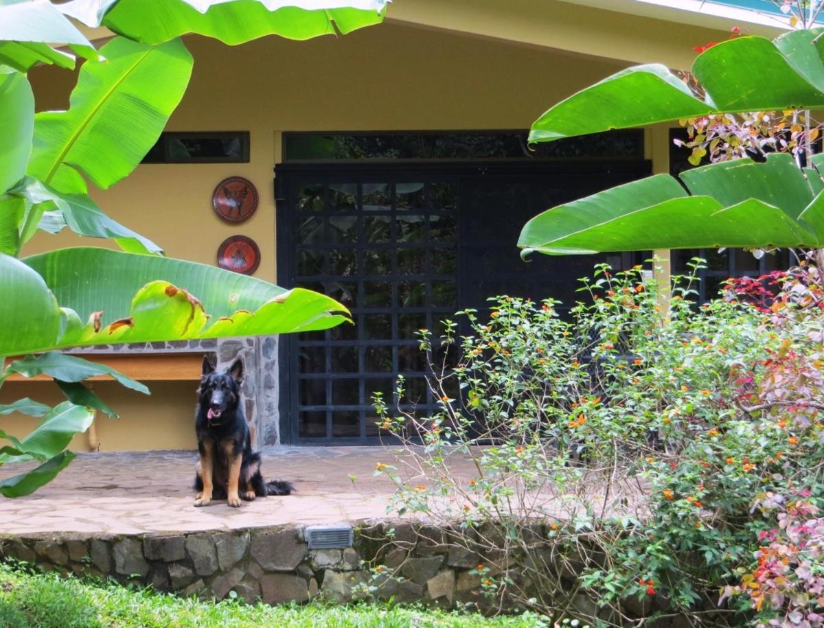 Pura Vida Hotel Alajuela ภายนอก รูปภาพ